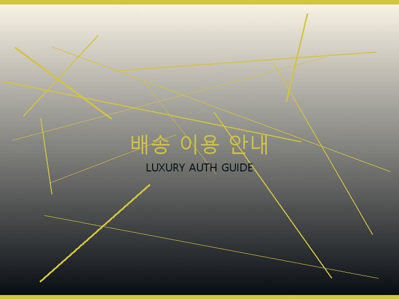 파파라초 미디엄 탑핸들 S급 사이트 배송 이용 안내