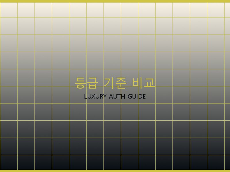 파파라초 미디엄 탑핸들 S급 사이트 등급 기준 비교
