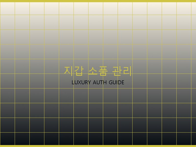 파파라초 미디엄 탑핸들 S급 사이트 지갑·소품 관리
